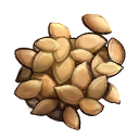 Pumpkin seeds icon