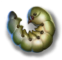 Silkworm caterpillar icon